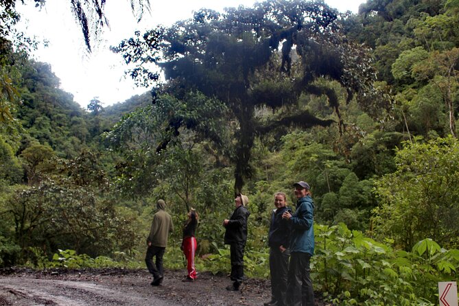 Manu jungle tours from Cusco (2 days). - The night walk is the tour’s most unusual hour