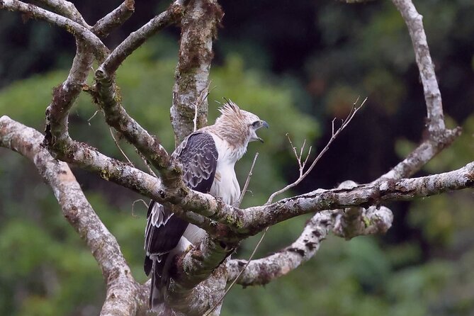 Manu jungle tours from Cusco (2 days). - What the $320 price includes