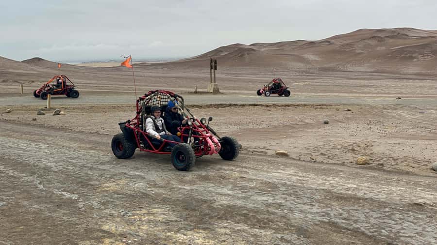 Mini Buggy GO KART in Paracas National Reserve - Key points to know before booking