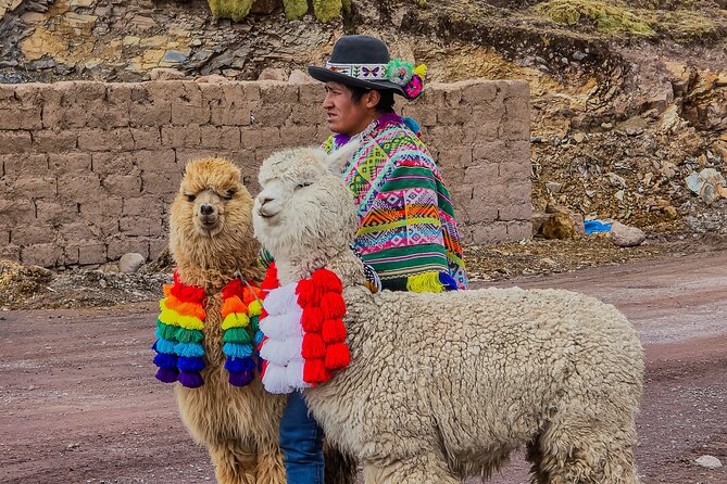 Mountain of Colors Vinincnever Full Day Tour from Cusco - Breakfast at Cusipata before the climb