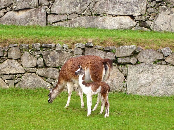 Mystical Journey: 2-Day Private Adventure to Machu Picchu - Why This Two-Day Plan Works