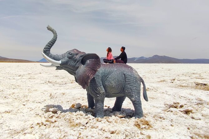 National Reserve of Salinas and Aguada Blanca - Vicuñas, Llamas, Alpacas, and Flamingos