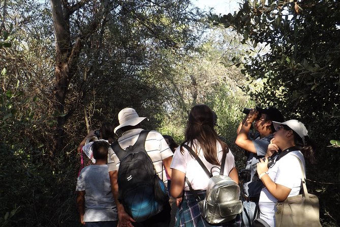 Nature tour, Pómac Forest with picnic breakfast included. - Key details worth knowing