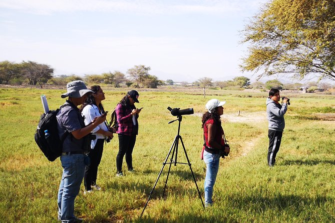 Nature tour, Pómac Forest with picnic breakfast included. - Who will enjoy this outing most?