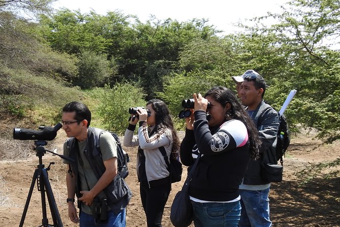 Nature tour, Pómac Forest with picnic breakfast included. - Leaving Chiclayo early for the sanctuary