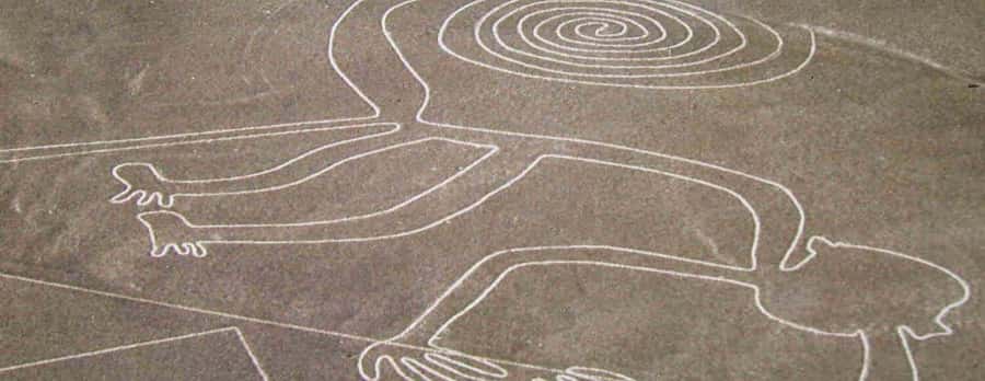 Nazca: Light aircraft flight over the Nazca Lines - Key Points Before You Book