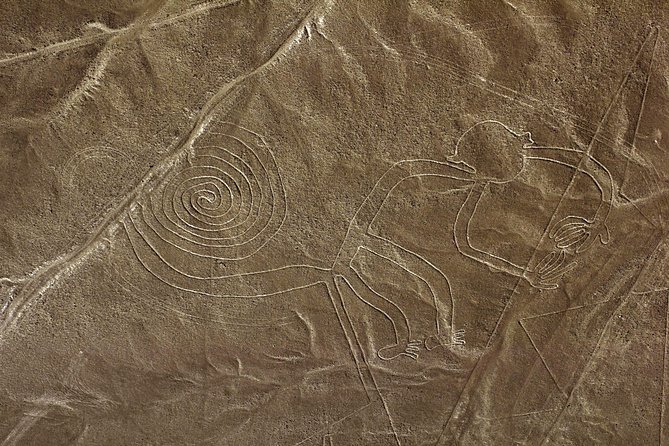Nazca Lines & Ballestas Islands Private Tour Bus&Flight from Lima - The transition from Paracas to Pisco Airport