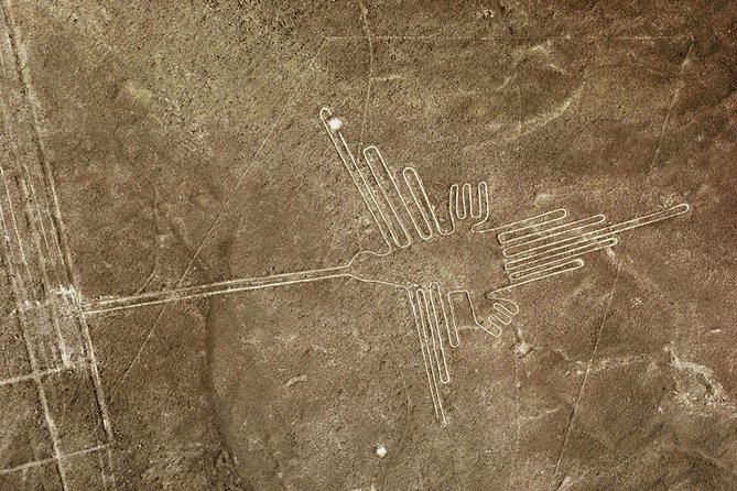 Nazca Lines & Ballestas Islands Private Tour Bus&Flight from Lima - Is the $818 price fair?