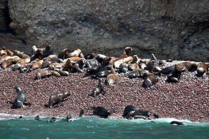 Nazca Lines & Ballestas Islands Private Tour Bus&Flight from Lima - The pre-dawn departure from Lima