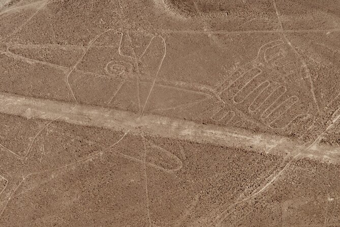 Nazca Lines + Cantalloc Aqueducts - Why the Nazca Lines are worth seeing from the air