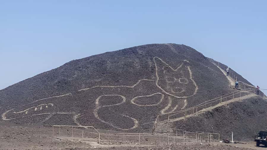 Nazca: Maria Reiche Museum and Nazca Lines Viewpoint Tour - Why this short Nazca tour works