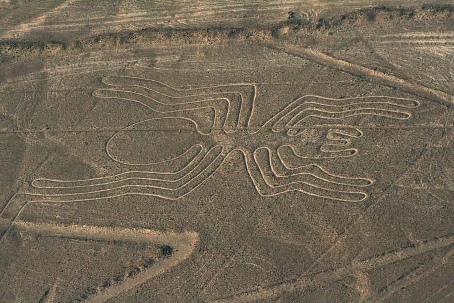 Nazca: Maria Reiche Museum and Nazca Lines Viewpoint Tour - The 20-meter tower and the tree and hand figures