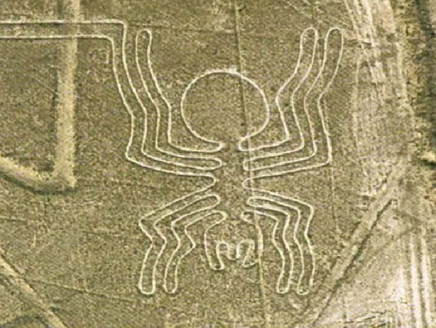 Nazca: Maria Reiche Museum and Nazca Lines Viewpoint Tour - Who should book this experience?
