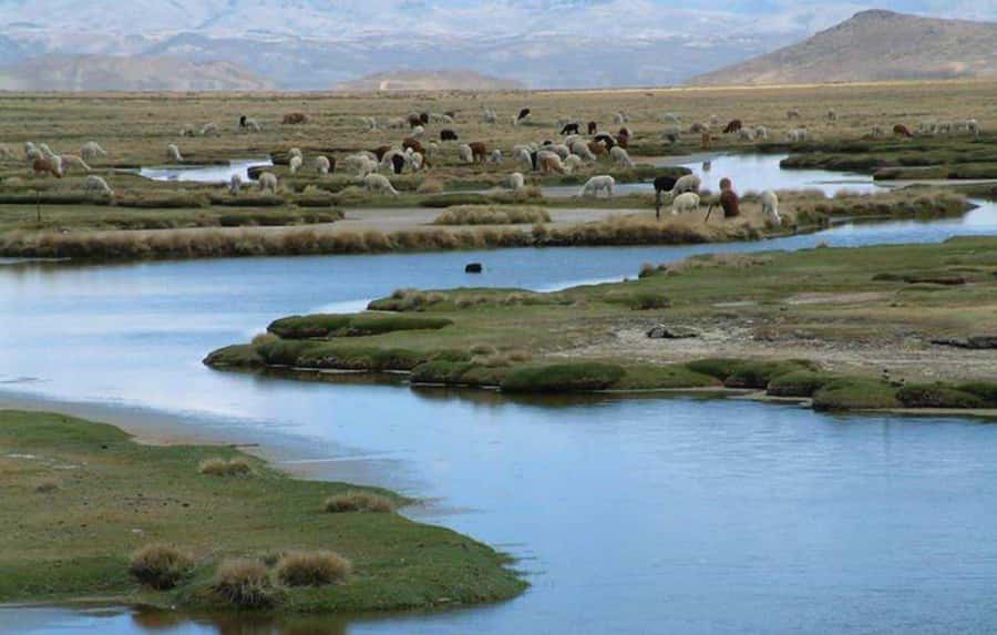 Offer Price Tour Salinas Lagoon and National Reserve 8 hours - What the $20 price really covers