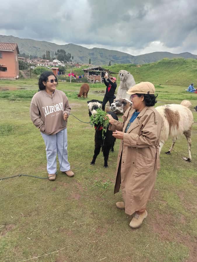 Open-top bus in the city of Cusco, 3-hour tour with panoramic views - Llamas, alpacas, and the craft of alpaca fiber