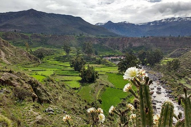 Overnight Tour: Colca Canyon Including Horse Riding from Arequipa - Leaving Arequipa for the high Andes at 7:45