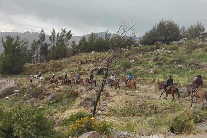 Overnight Tour: Colca Canyon Including Horse Riding from Arequipa - Three hours on horseback through Yanque