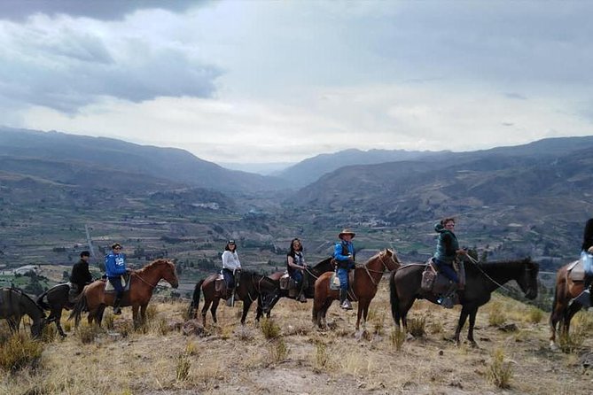 Overnight Tour: Colca Canyon Including Horse Riding from Arequipa - Abra Patapampa and the high point of the route