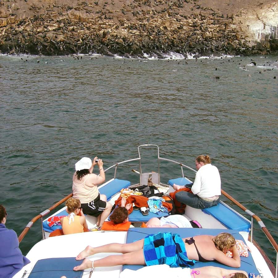 Palomino Islands Yacht Tour and swim alongside the sea lions - Why the Palomino Islands make a strong half-day from Lima