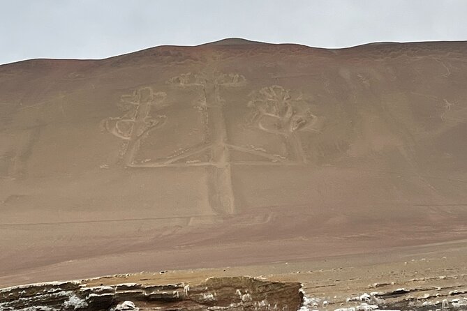 Paracas and Huacachina Exclusive Sunset Picnic Tour - Why this makes sense as a Lima day trip