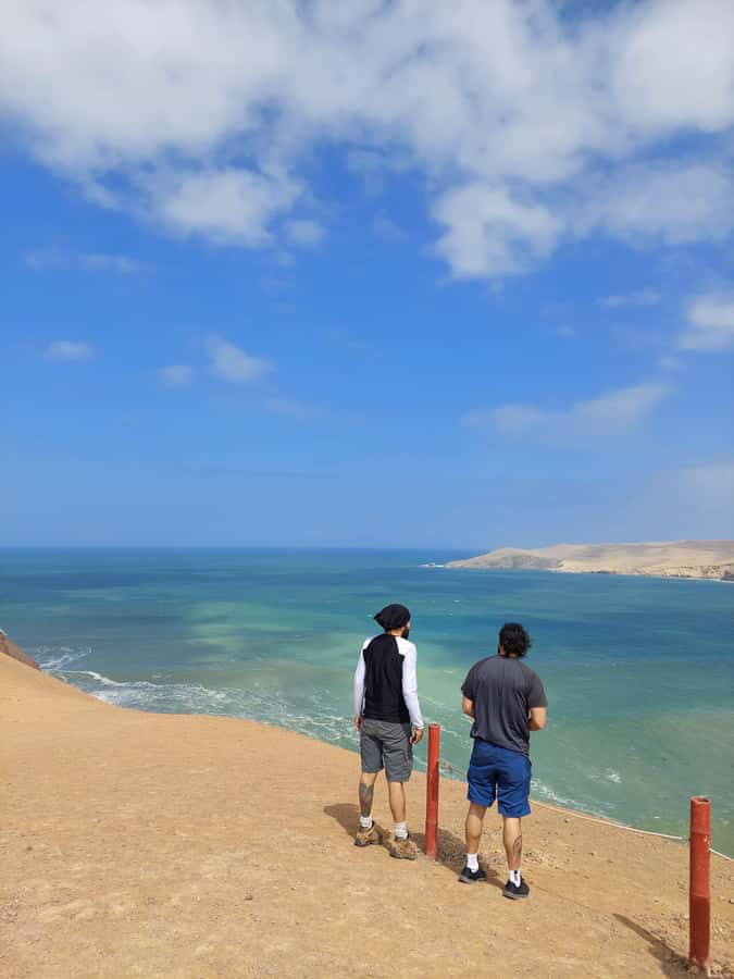 Paracas: Ballestas Island & Nature Reserve all inclusive - Key details worth knowing