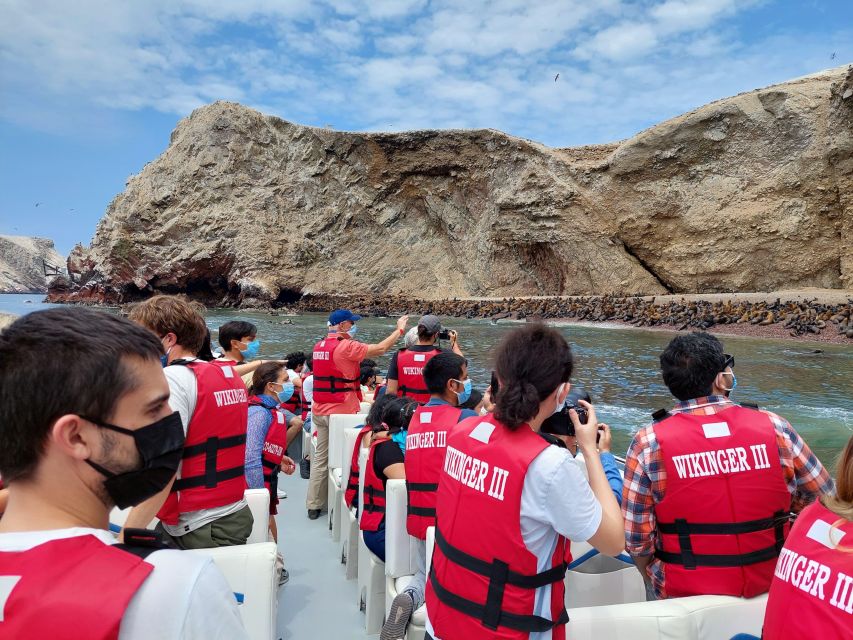 Paracas: Ballestas Island & Nature Reserve all inclusive - Ballestas Islands: sea lions, birds, and penguins