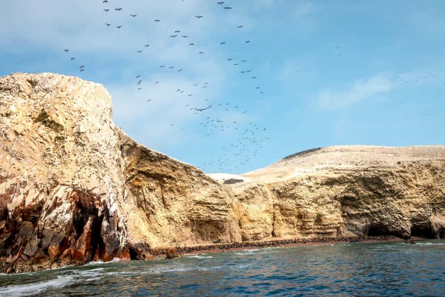 Paracas: Ballestas Island & Nature Reserve all inclusive - A short break back in Paracas