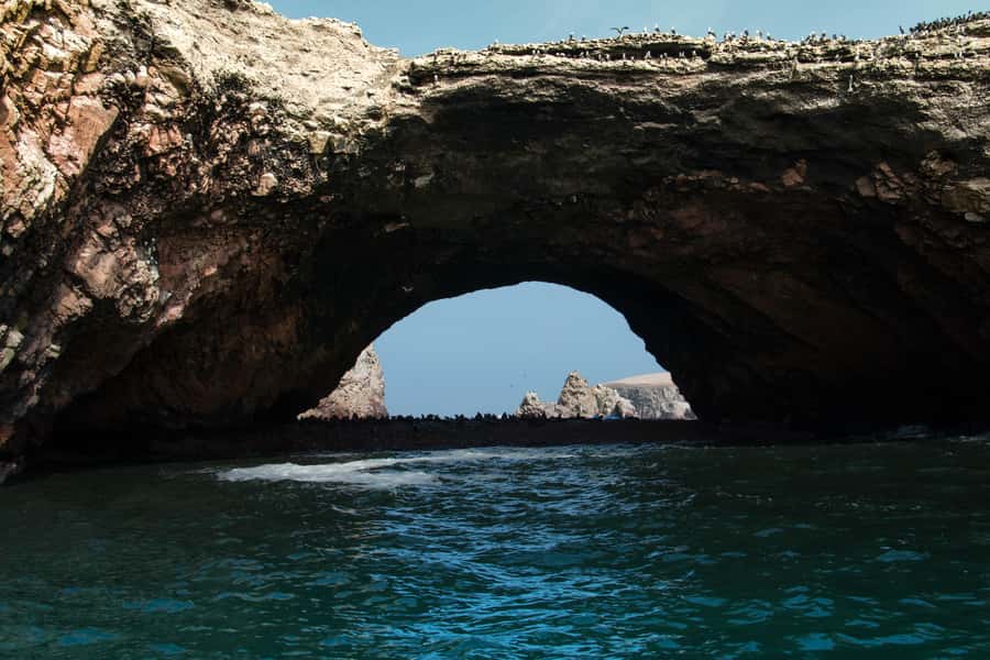 Paracas: Ballestas Island & Nature Reserve all inclusive - Inside the Paracas National Reserve