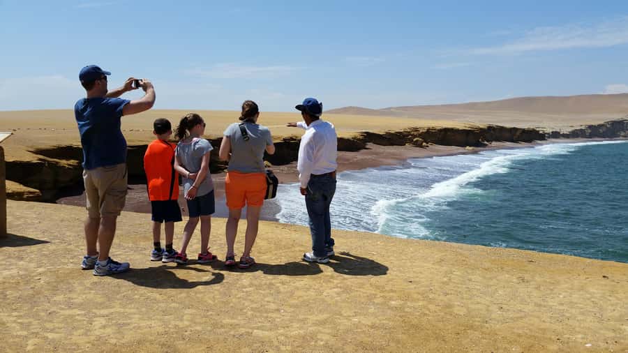 Paracas: Ballestas Island & Nature Reserve all inclusive - Starting with pickup and the speedboat