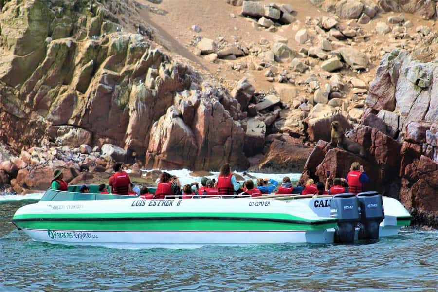 Paracas: Ballestas Islands and Candelabra of Paracas Boat - Key points at a glance