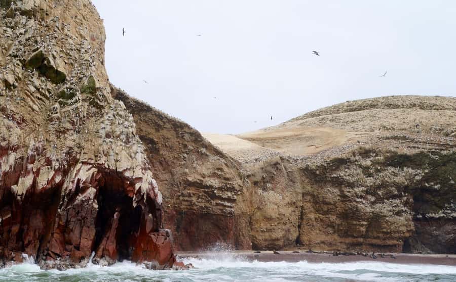 Paracas: Ballestas Islands and Candelabra of Paracas Boat - Why this short Paracas trip works