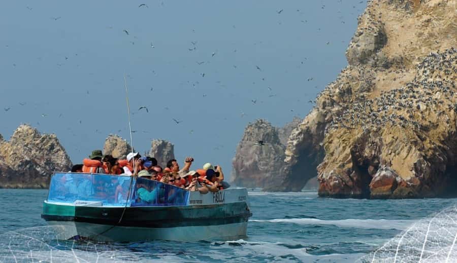 Paracas: Ballestas Islands and Candelabra of Paracas Boat - The Ballestas Islands and their noisy wildlife