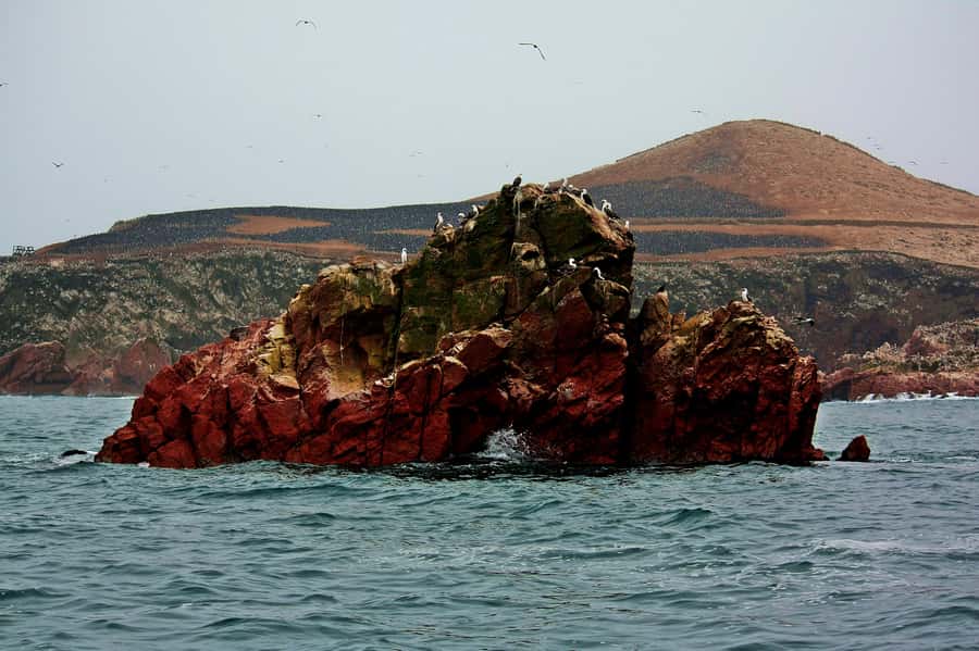 Paracas: Ballestas Islands and Candelabra of Paracas Boat - Boat comfort, views, and photo strategy