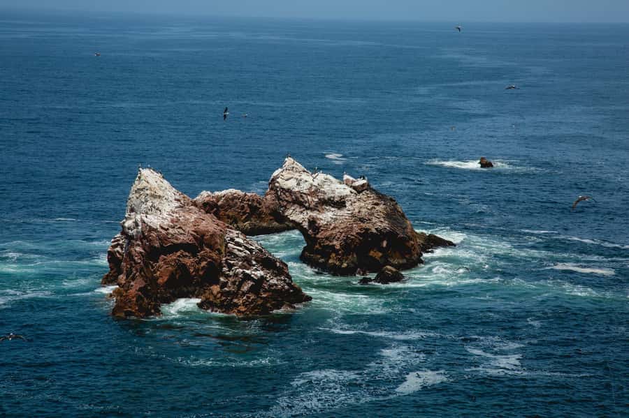 Paracas: Ballestas Islands and Candelabra of Paracas Boat - Is $25 good value?