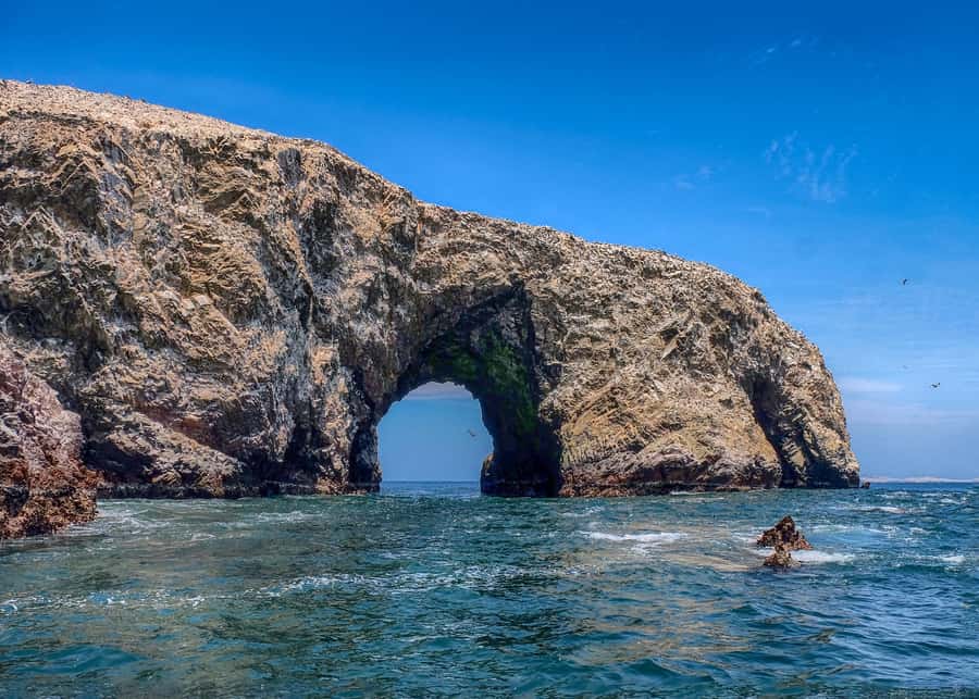 Paracas: Ballestas Islands and Candelabro Boat Tour - Starting at the JD Adventure Travel office
