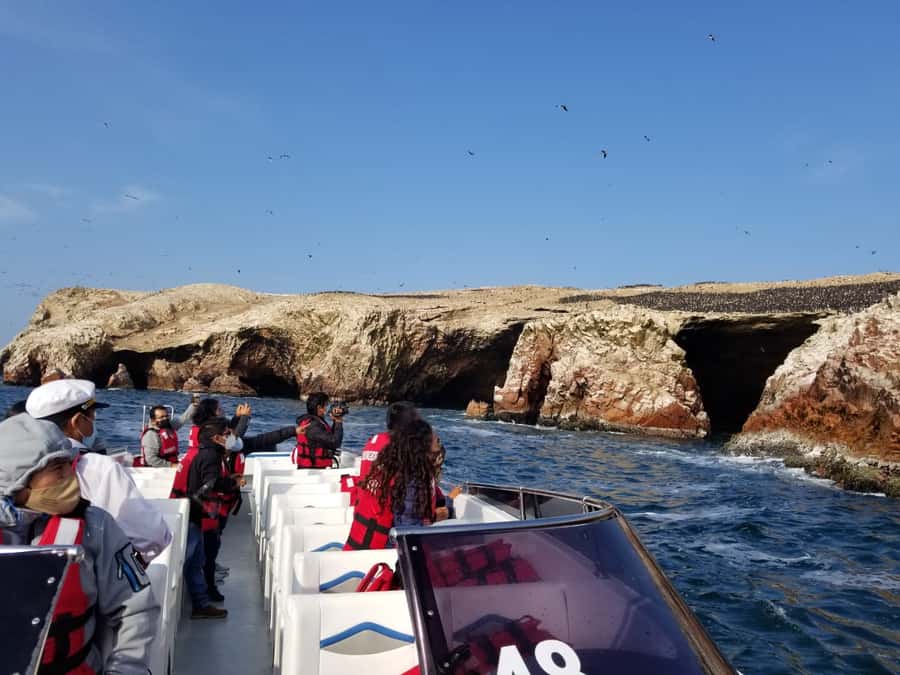 Paracas: Ballestas Islands and Candelabro Boat Tour - What the $15 price really covers