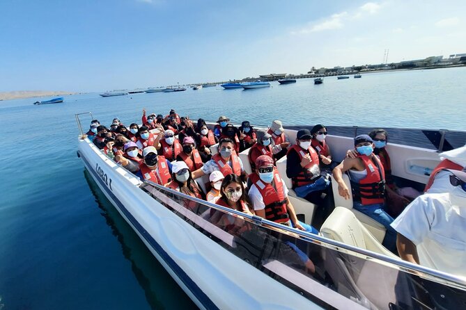 Paracas, Ballestas Islands and Huacachina Guided Tour - Huacachina, Sand Buggies, and the Main Adrenaline Hit