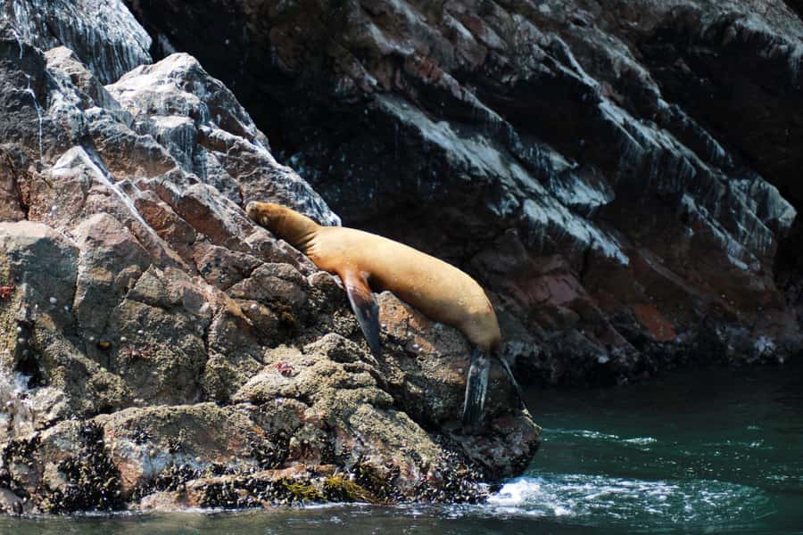 PARACAS: BALLESTAS ISLANDS AND NATIONAL RESERVE - La Mina Beach and the final coastal stop