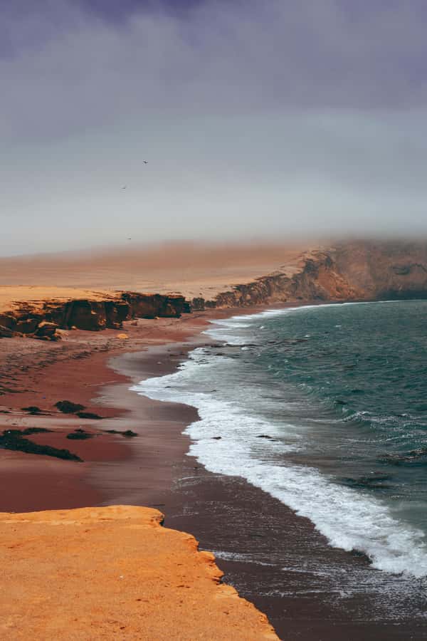 Paracas: Ballestas Islands Boat tour - Islas Ballestas - Why this Ballestas Islands cruise is worth your morning