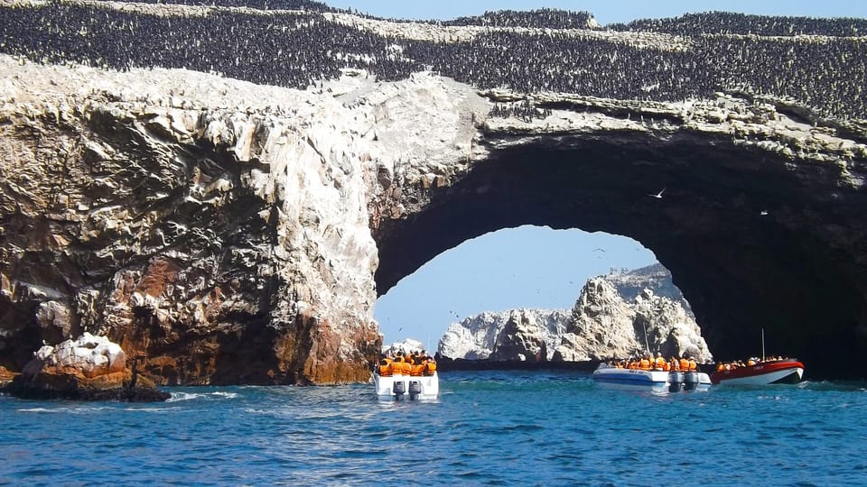 Paracas: Ballestas Islands Boat tour - Islas Ballestas - Sea lions, penguins, and thousands of seabirds