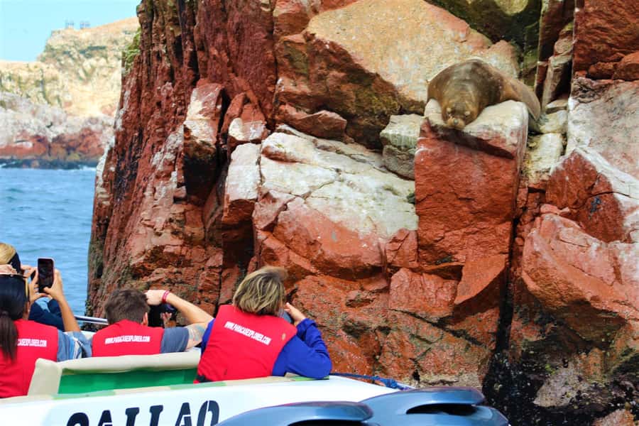 Paracas: Ballestas Islands Guided Boat Tour - Key points at a glance