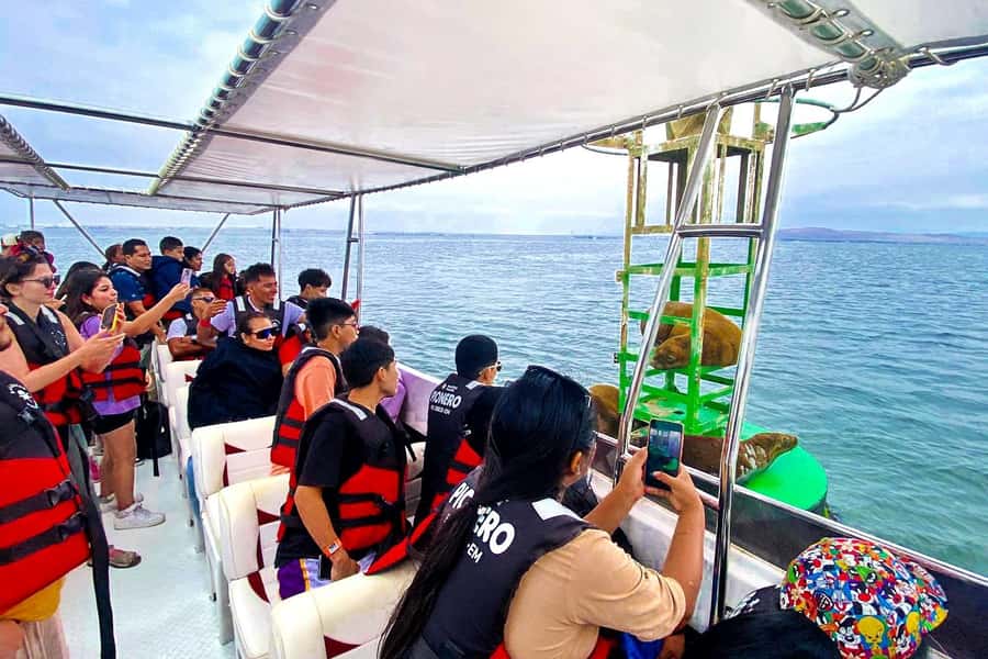Paracas: Ballestas Islands Guided Boat Tour - Who will enjoy this two-hour outing?