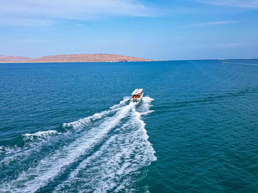 Paracas: Ballestas Islands Guided Boat Tour - Sea lions, penguins, and seabirds