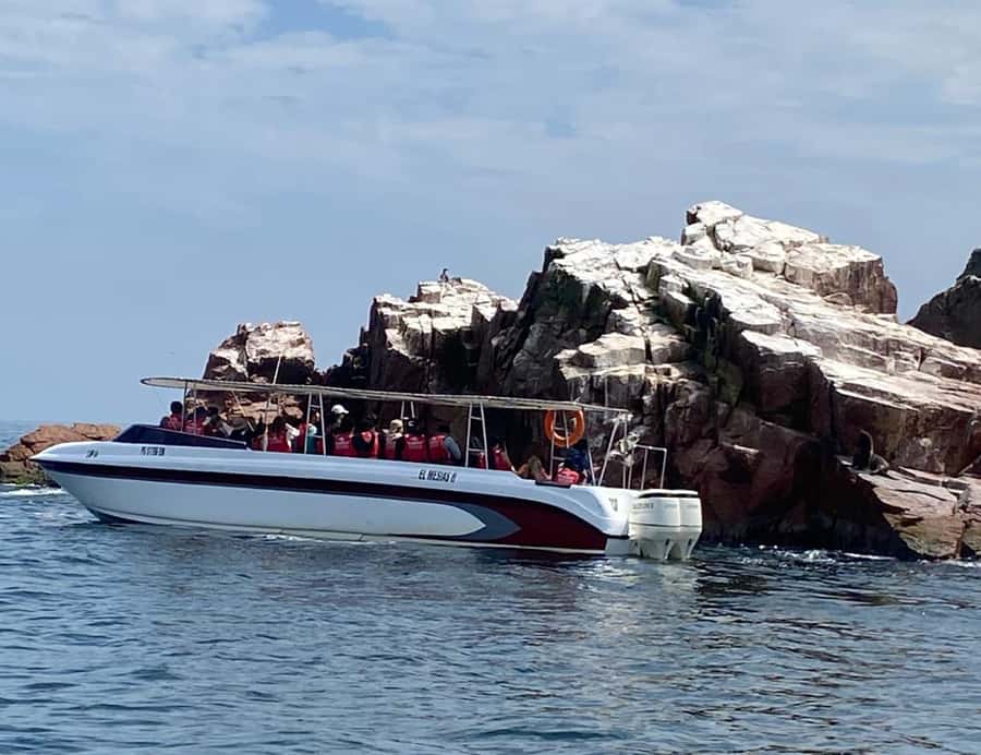 Paracas: Ballestas Islands Morning Boat Tour - Practical booking details that matter