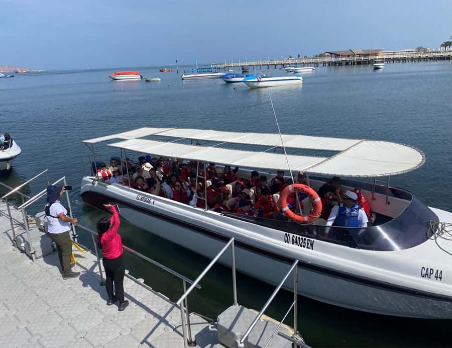 Paracas: Ballestas Islands Morning Boat Tour - Why this two-hour Paracas trip earns its popularity