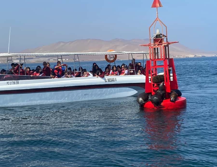 Paracas: Ballestas Islands Morning Boat Tour - What the boat ride feels like in practice