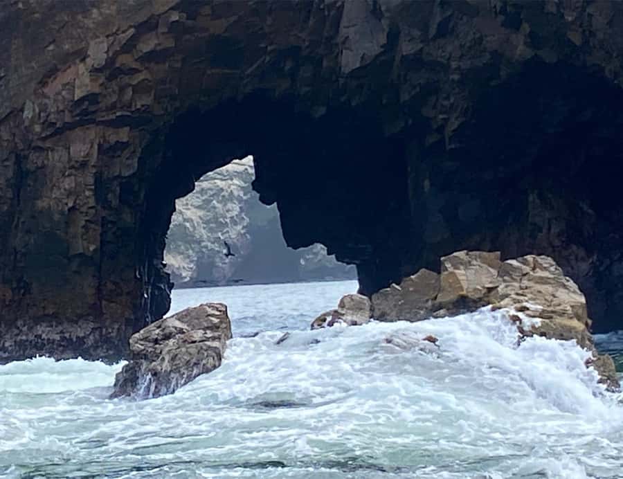 Paracas: Ballestas Islands Morning Boat Tour - Is $17 a fair price for the experience?