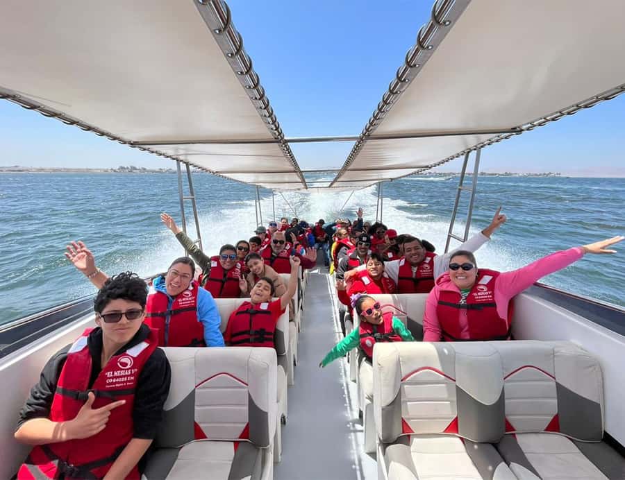 Paracas: Ballestas Islands Morning Boat Tour - Who should book this morning boat tour?