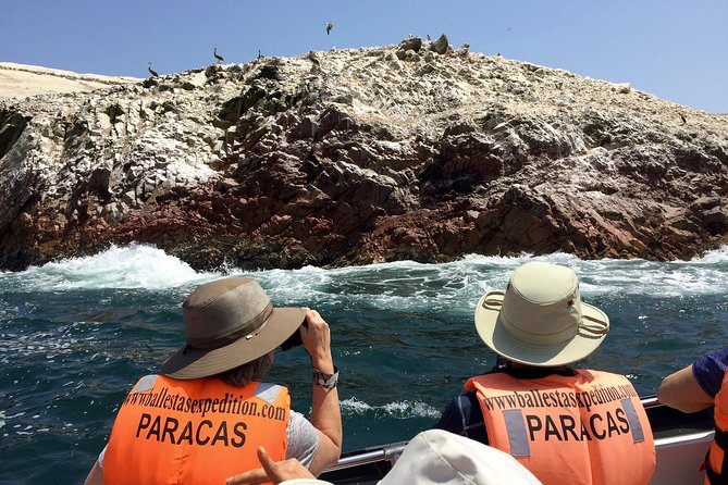 PARACAS! Ballestas Islands + Paracas National Reserve + Candelabro and much more - Five useful things to know before booking