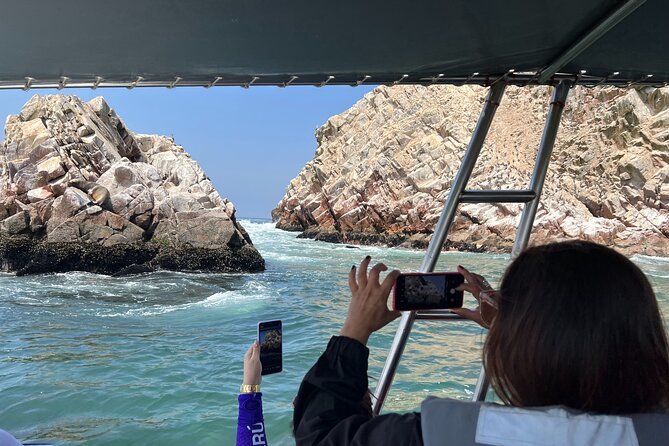 PARACAS! Ballestas Islands + Paracas National Reserve + Candelabro and much more - Four hours inside Paracas National Reserve